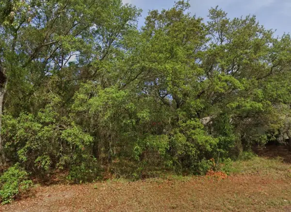 4 Honeysuckle Court N, HOMOSASSA, FL 34446