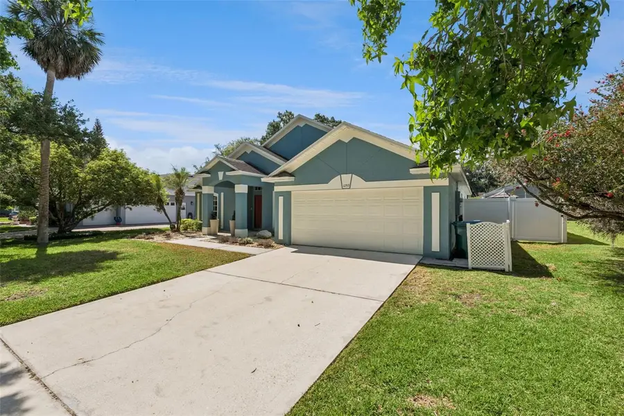 1253 Brandy Lake View Circle, Winter Garden, FL 34787 - #3