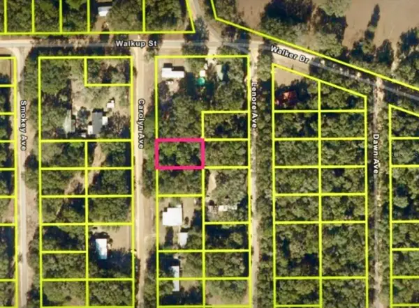 Carolyn Avenue, INTERLACHEN, FL 32148