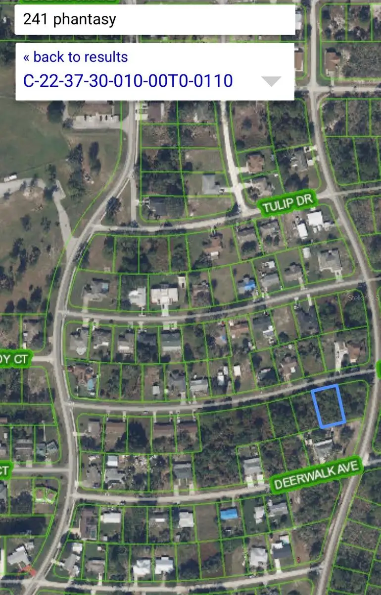 241 Phantasy Avenue, Lake Placid, FL 33852 - #3