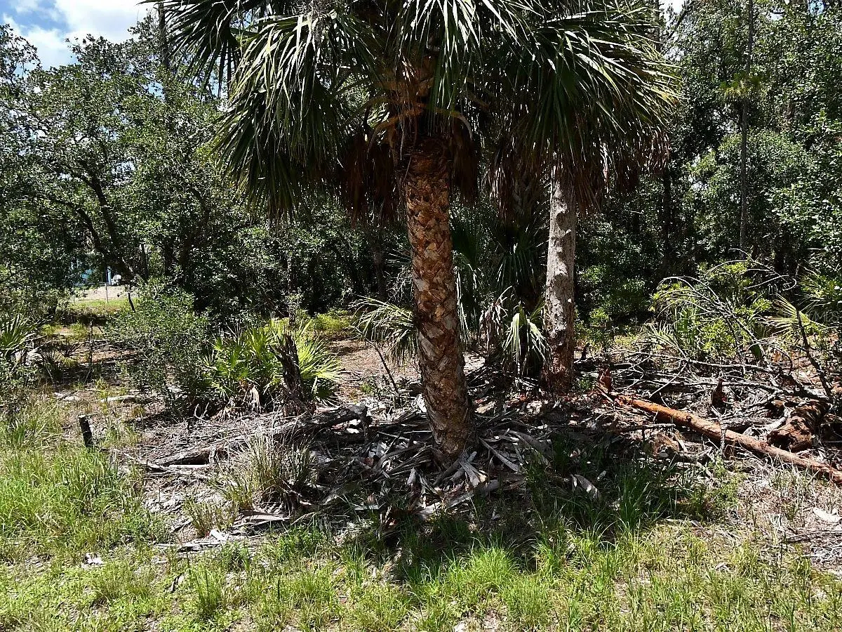 Hawksbill Avenue, North Port, FL 34291 - #1