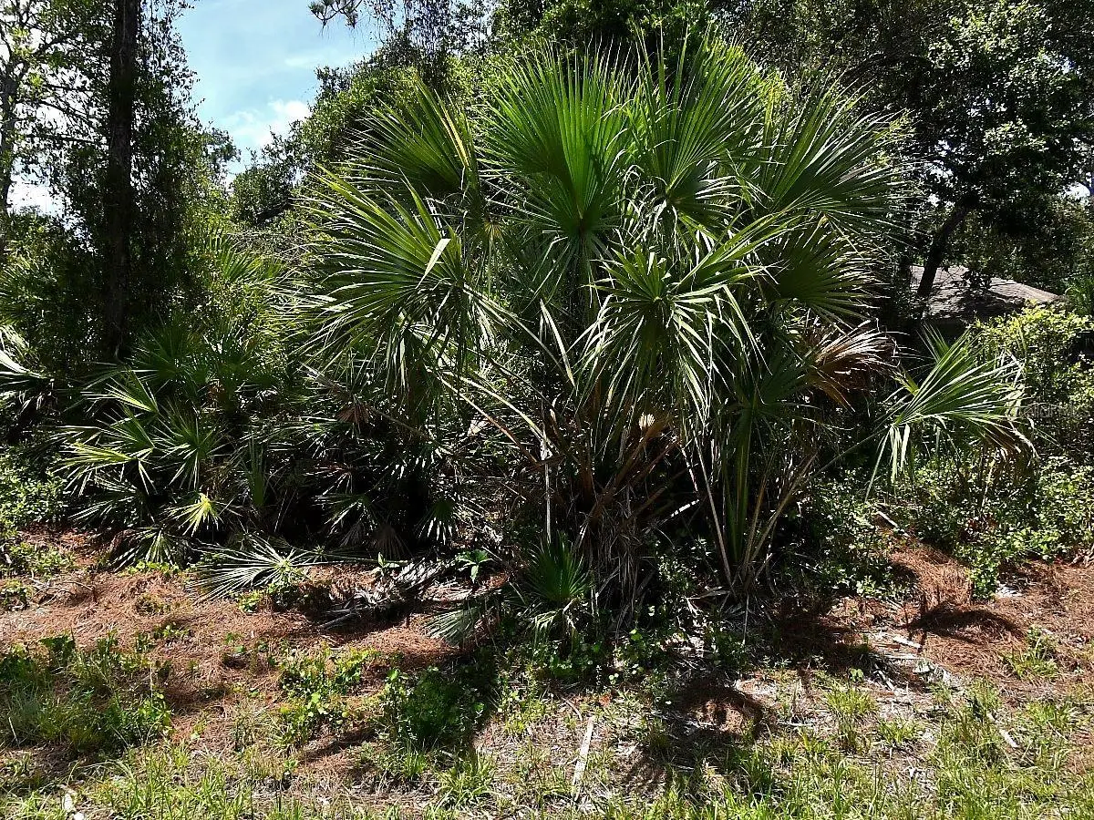 Van Eck Road, North Port, FL 34291 - #1