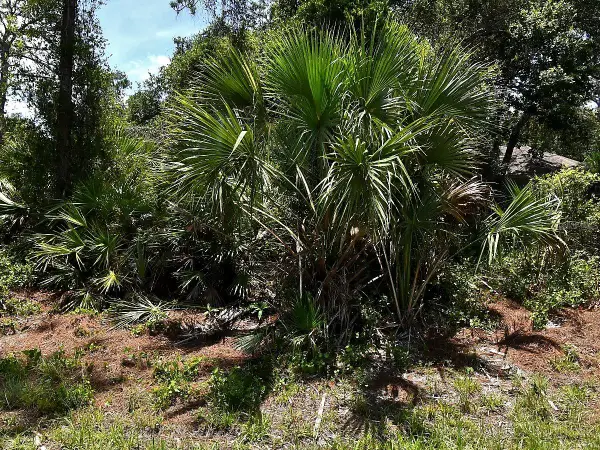 Van Eck Road, NORTH PORT, FL 34291