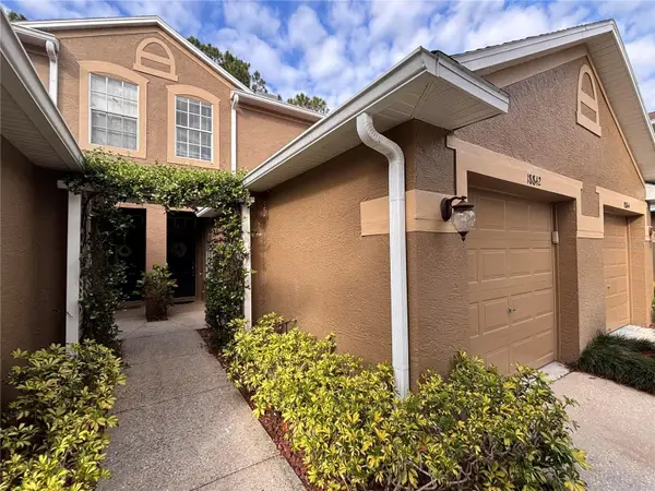 18842 Duquesne Drive, TAMPA, FL 33647