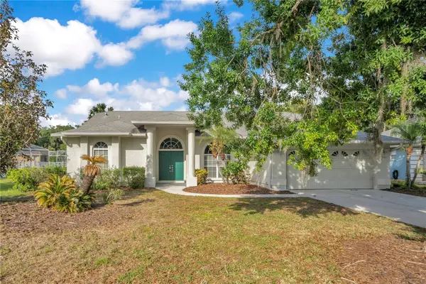 3404 River Woods Drive, PARRISH, FL 34219