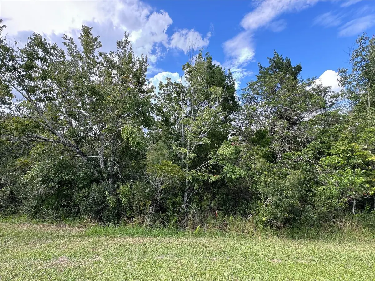 Sheldon Street, Orlando, FL 32833 - #1
