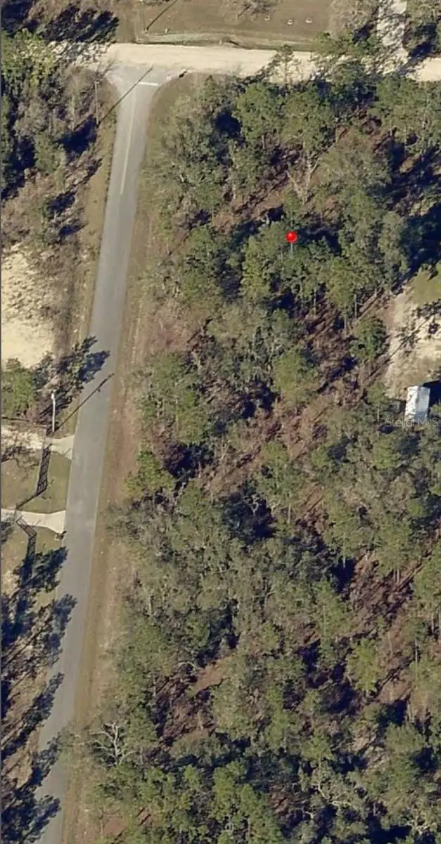 13700 SW 81st Street, Dunnellon, FL 34432 - #1