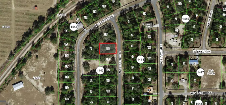 11126 N Trigger Terrace, Citrus Springs, FL 34433 - #2