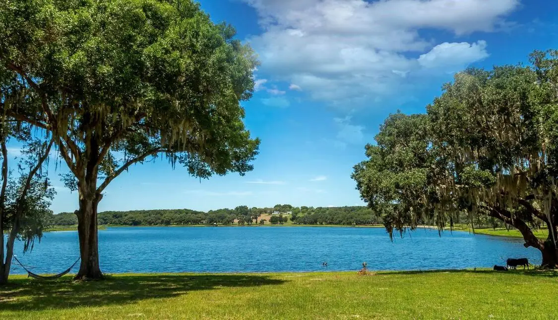 34710 Clayton Road, Dade City, FL 33523 - #1