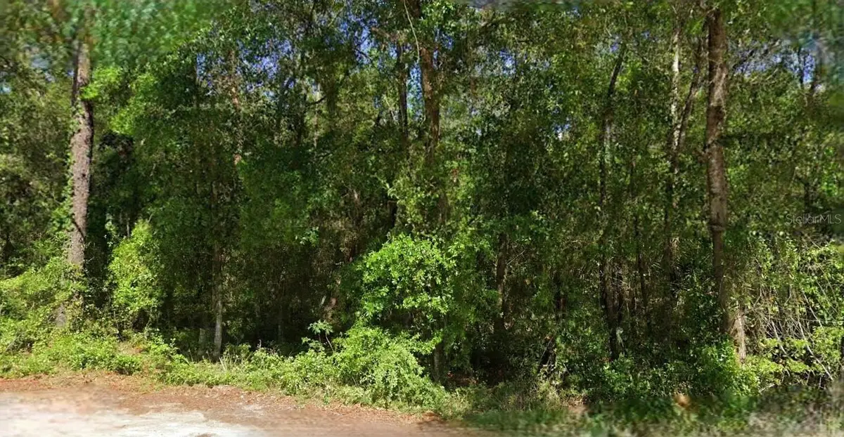 NE 6th Lane Road, Silver Springs, FL 34488 - #1