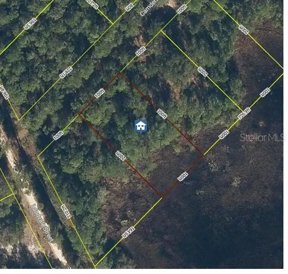 103 Brierly Street, GEORGETOWN, FL 32139