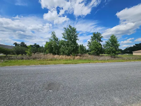 SE 140th Street, SUMMERFIELD, FL 34491