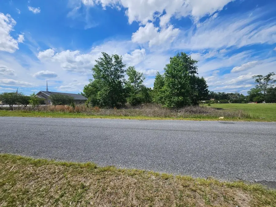 SE 140th Street, Summerfield, FL 34491 - #3
