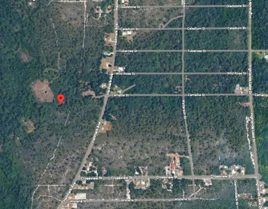 734 Dolphin Avenue, Lake Placid, FL 33852 - #2