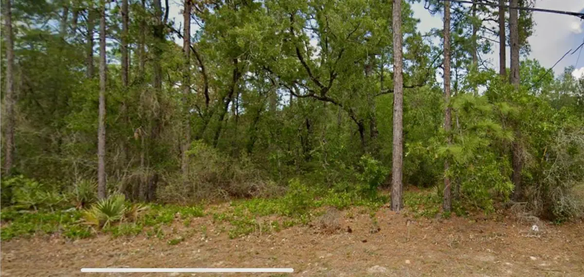8550 N Citrus Springs Boulevard, Citrus Springs, FL 34433 - #1
