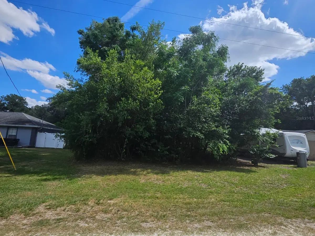 SE 140th Lane, Summerfield, FL 34491 - #1