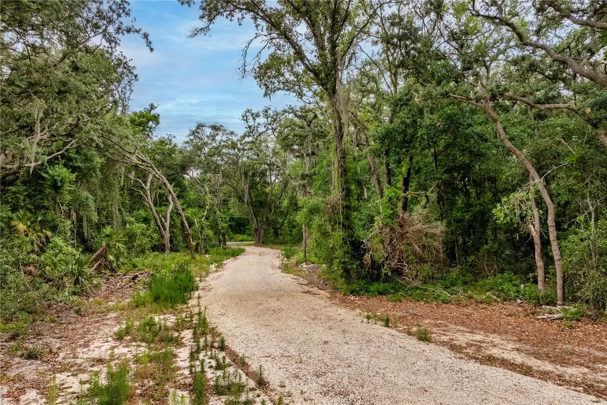 Bay Street, Leesburg, FL 34788 - #1