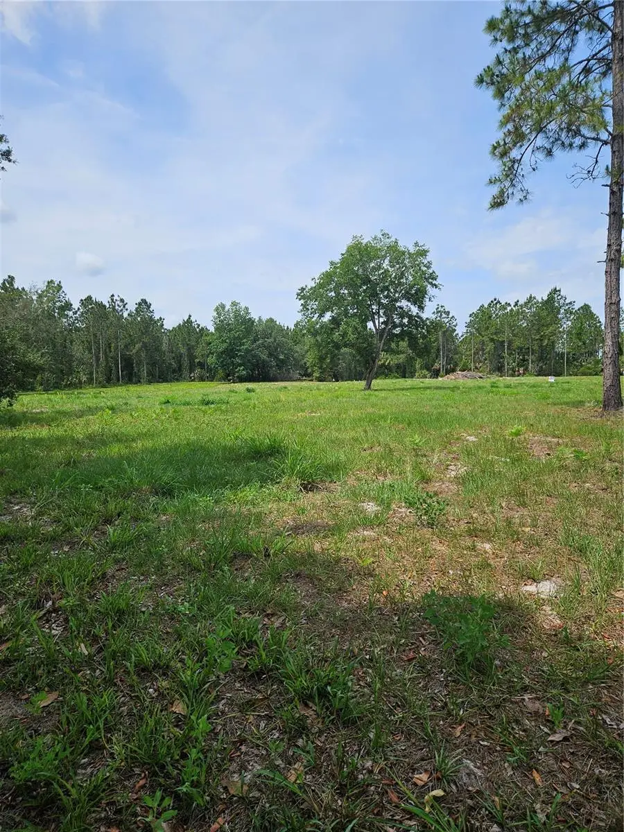 Geneva Woods Cove, Geneva, FL 32732 - #1