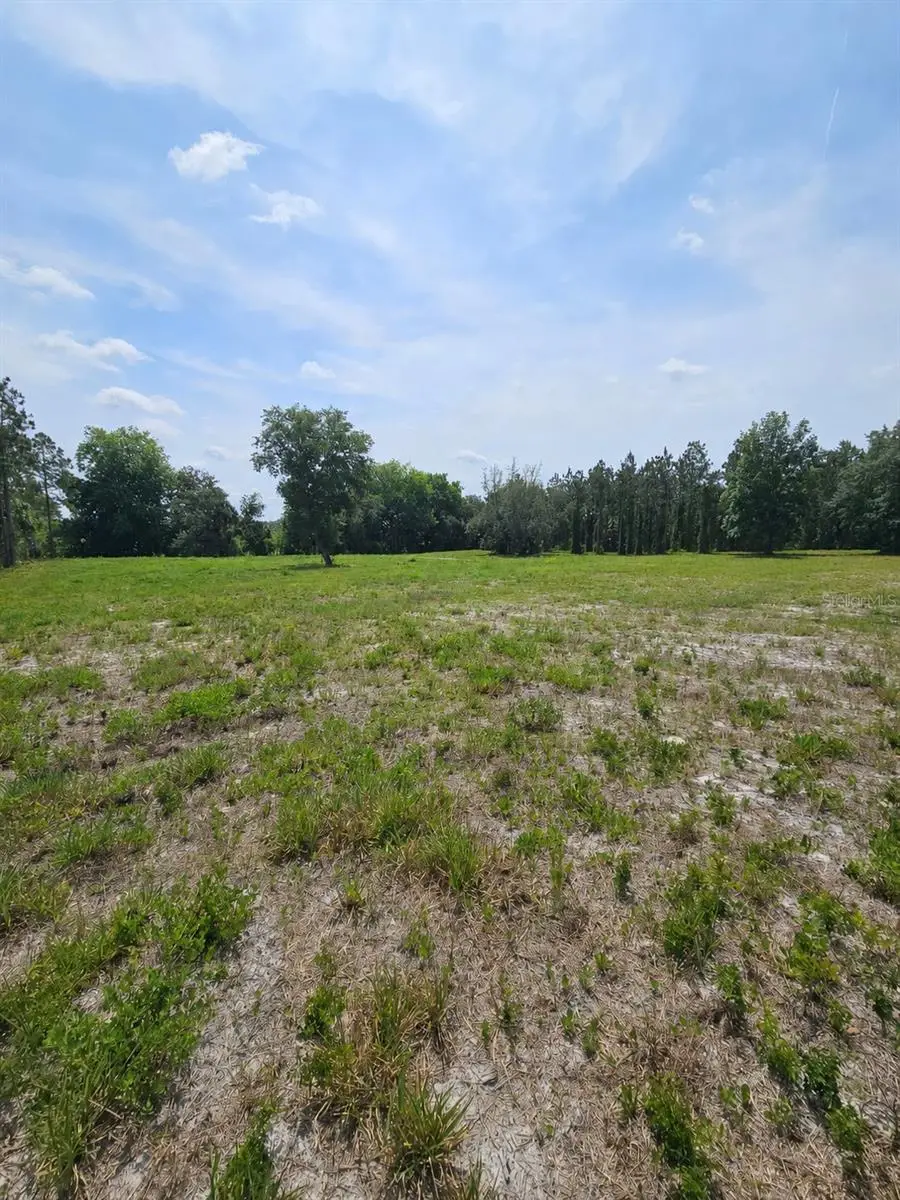 Geneva Woods Cove, Geneva, FL 32732 - #3