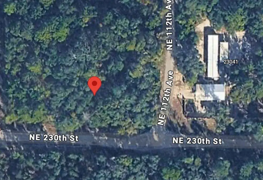 No Situs, Fort McCoy Anthony, FL 32134 - #1