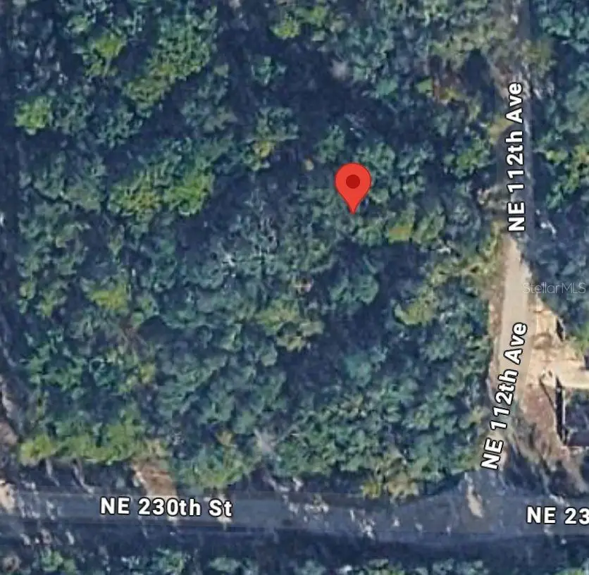 No Situs, Fort McCoy Anthony, FL 32134 - #2