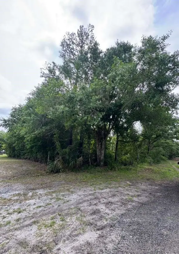 1249 Sable Palm Drive, CHRISTMAS, FL 32709