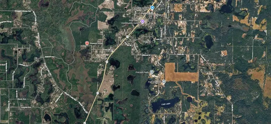 Steward Road, Eustis, FL 32726 - #3