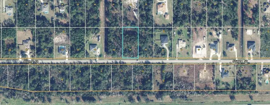Starry Street, Orlando, FL 32833 - #3