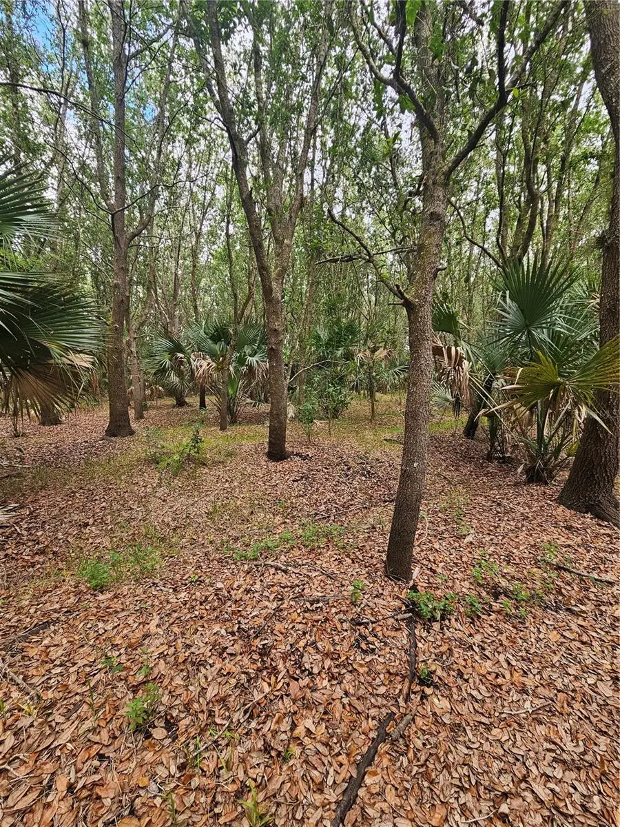 601 Howard Avenue, Oviedo, FL 32765 - #2