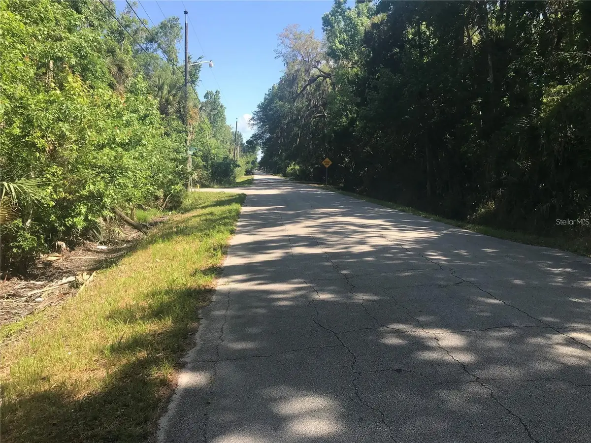 Elizabeth Street, New Smyrna Beach, FL 32168 - #1