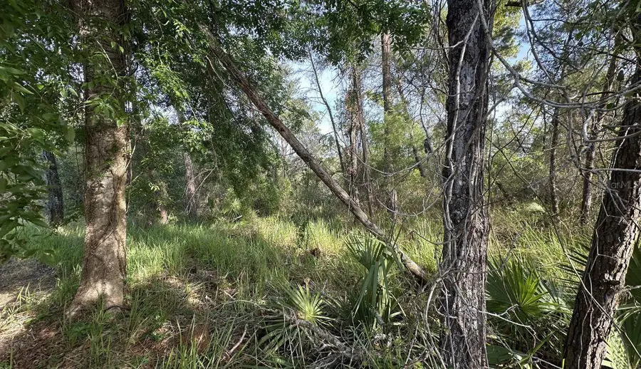 0 Olive Circle, Ocala, FL 34472 - #3