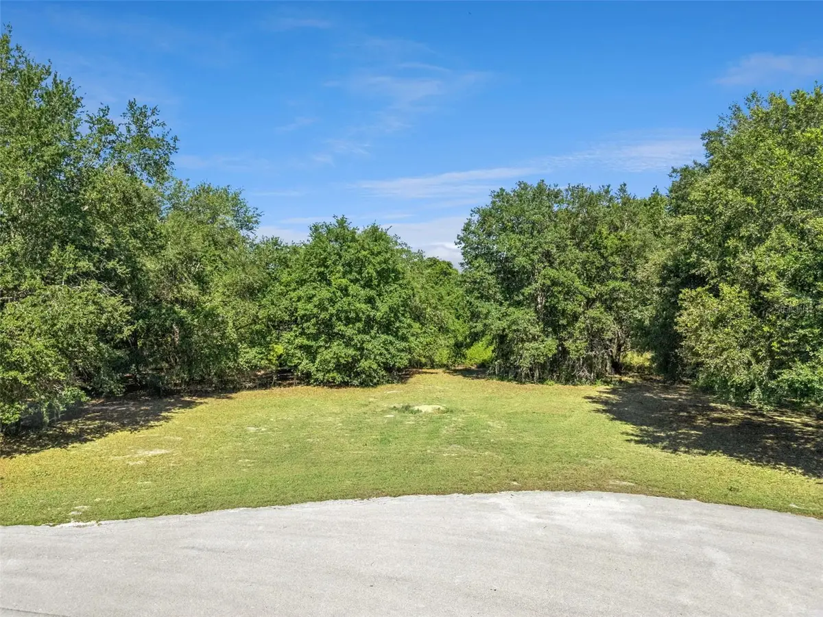 18353 Great Blue Heron Drive, Groveland, FL 34736 - #1