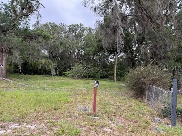 412 York Street, Wildwood, FL 34785 - #3