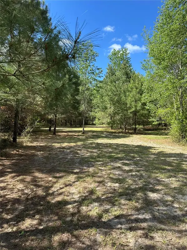 1449 SE October Road, LAKE CITY, FL 32025