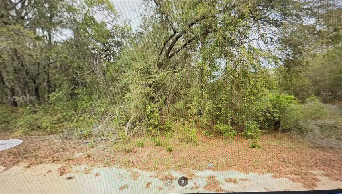 00 Elizabeth Ci, Interlachen, FL 32148 - #1