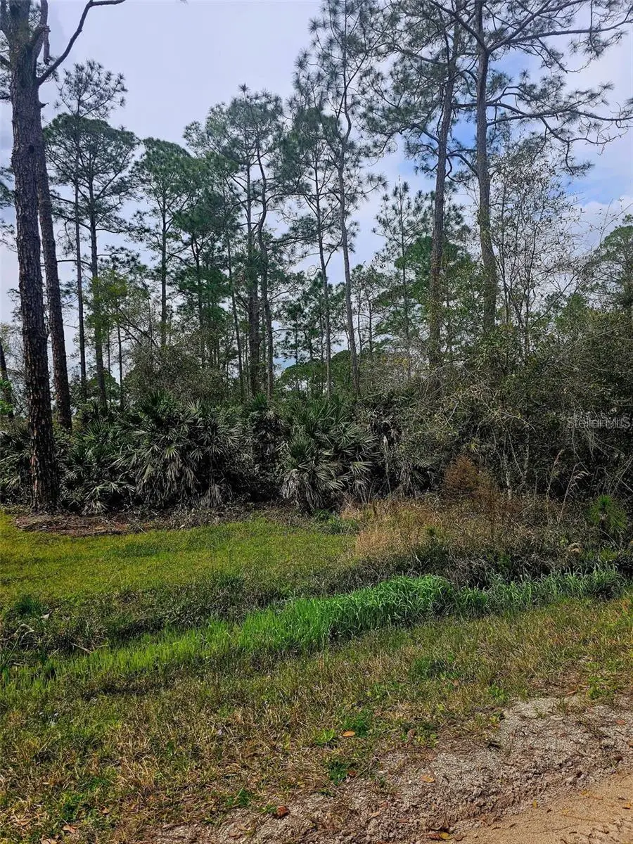 East Parkway, Deland, FL 32724 - #3