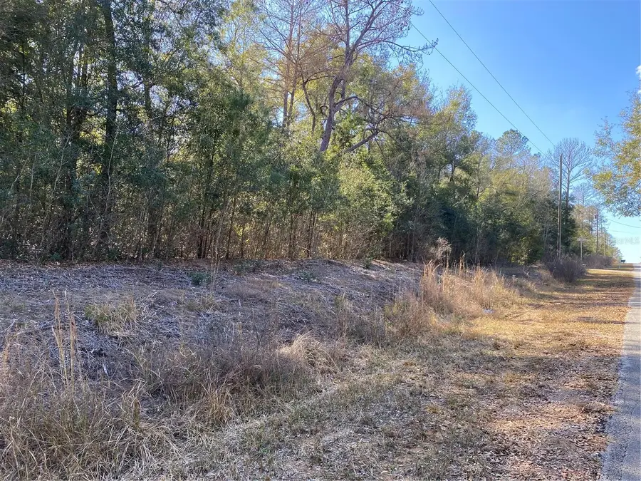 Southwest Beach Blvd, Dunnellon, FL 34431 - #3