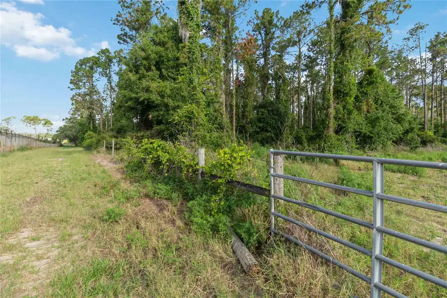 23175 N Buckhill Road, Howey In The Hills, FL 34737 - #3