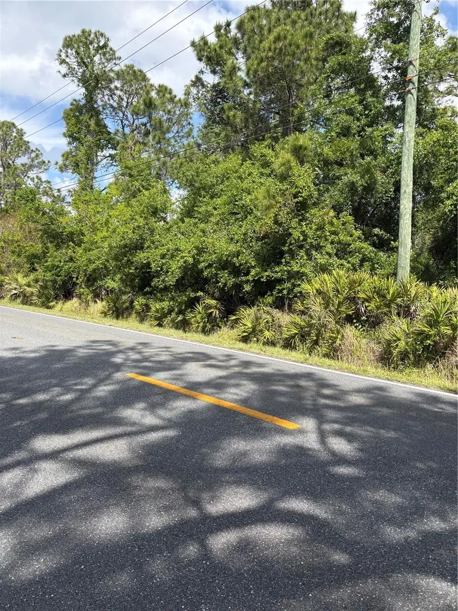 E Osceola Road, Geneva, FL 32732 - #2