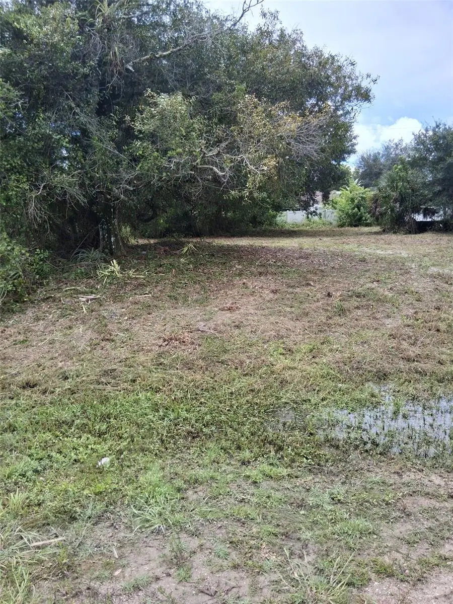 14070 Carlos Street, Fort Myers, FL 33905 - #1