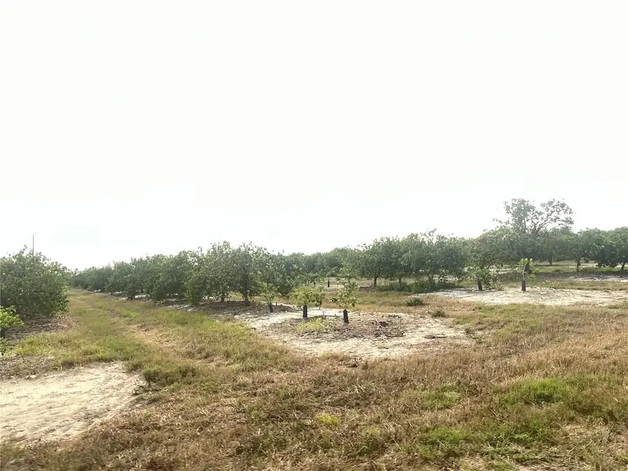 Ne Hwy 70, Arcadia, FL 34266 - #2
