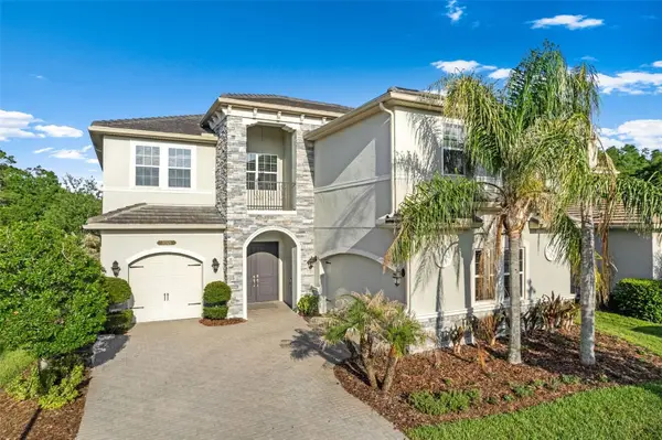 31321 Chesapeake Bay Drive, WESLEY CHAPEL, FL 33543