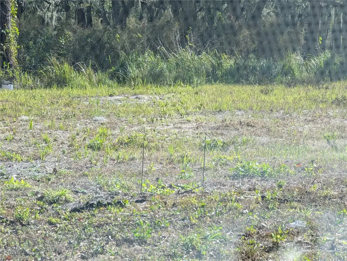 0 Central Avenue, Mulberry, FL 33860 - #1