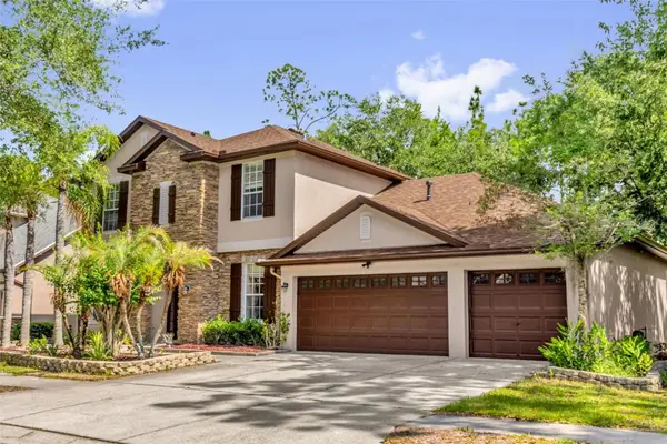 16117 Colchester Palms Drive, TAMPA, FL 33647