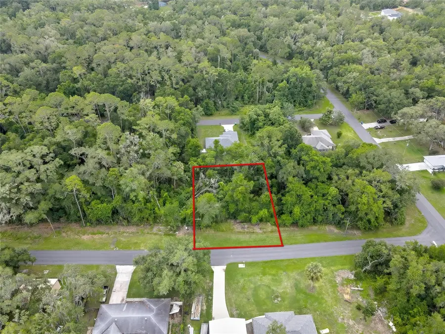 1048 W Maximilian Place, Citrus Springs, FL 34434 - #2