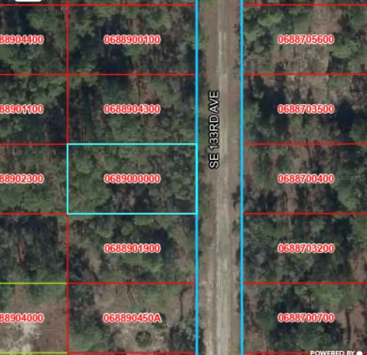 TBD 133rd Avenue, Dunnellon, FL 34431 - #1
