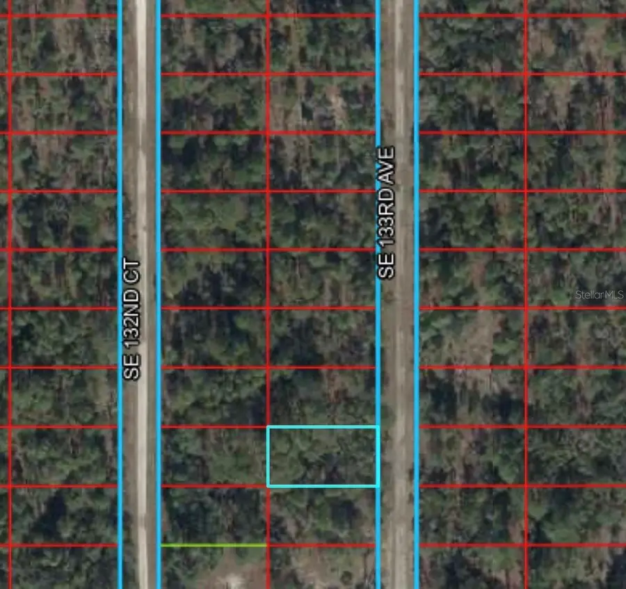 TBD 133rd Avenue, Dunnellon, FL 34431 - #2