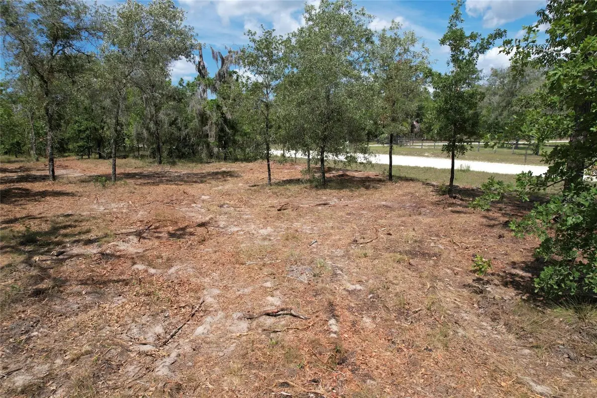 SE 53rd Lane, Morriston, FL 32668 - #1