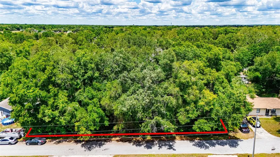 Se 157th St, Summerfield, FL 34491 - #2