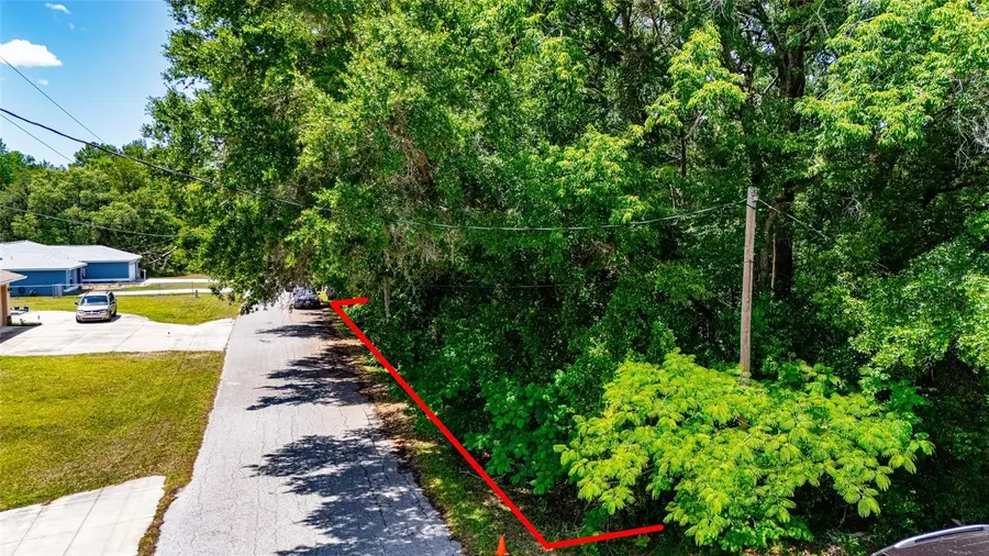 Se 157th St, Summerfield, FL 34491 - #3